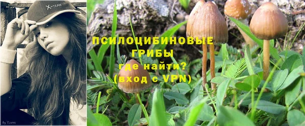 наркотики Алексин